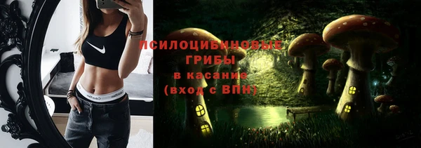 ПСИЛОЦИБИНОВЫЕ ГРИБЫ Абаза