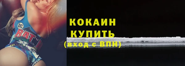 ПСИЛОЦИБИНОВЫЕ ГРИБЫ Абаза