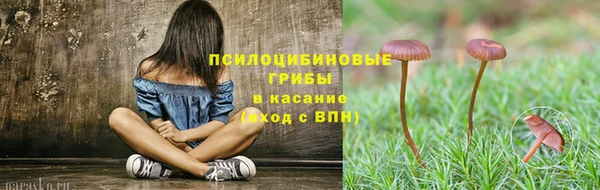 ПСИЛОЦИБИНОВЫЕ ГРИБЫ Абаза