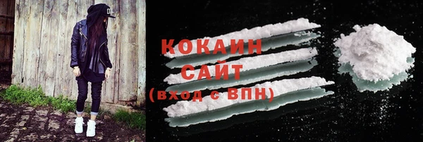 ПСИЛОЦИБИНОВЫЕ ГРИБЫ Абаза