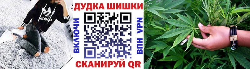 Конопля сатива  что такое   Куртамыш 